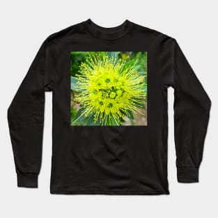 Golden Penda (Xanthostemon chrysanthus) Long Sleeve T-Shirt